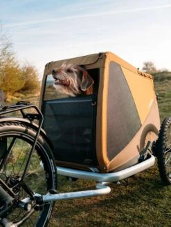 Croozer Dog Peppa -Outdoor Camping Shop 121000818 12 1280x1280