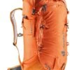 Deuter Freescape Lite 24 SL