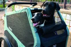 Burley Bark Ranger -Outdoor Camping Shop SS23BarkRanger 840840014115 05 1280x1280